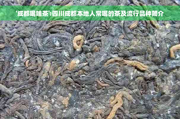 '成都喝啥茶':四川成都本地人常喝的茶及流行品种简介