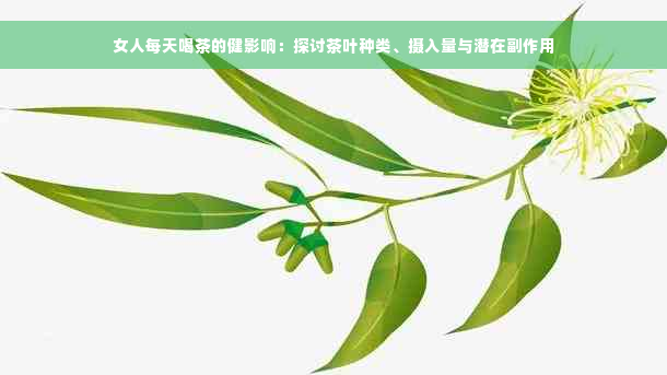 女人每天喝茶的健影响：探讨茶叶种类、摄入量与潜在副作用