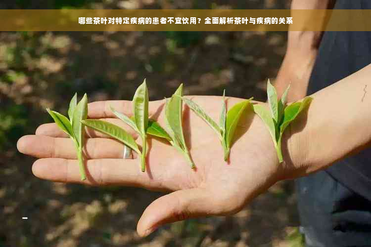 哪些茶叶对特定疾病的患者不宜饮用？全面解析茶叶与疾病的关系