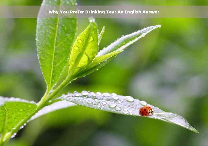 Why You Prefer Drinking Tea: An English Answer