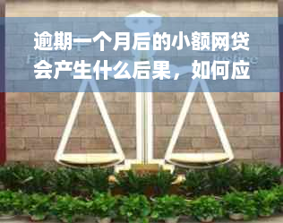 逾期一个月后的小额网贷会产生什么后果，如何应对？