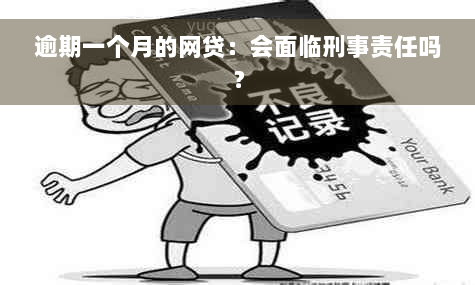 逾期一个月的网贷：会面临刑事责任吗？