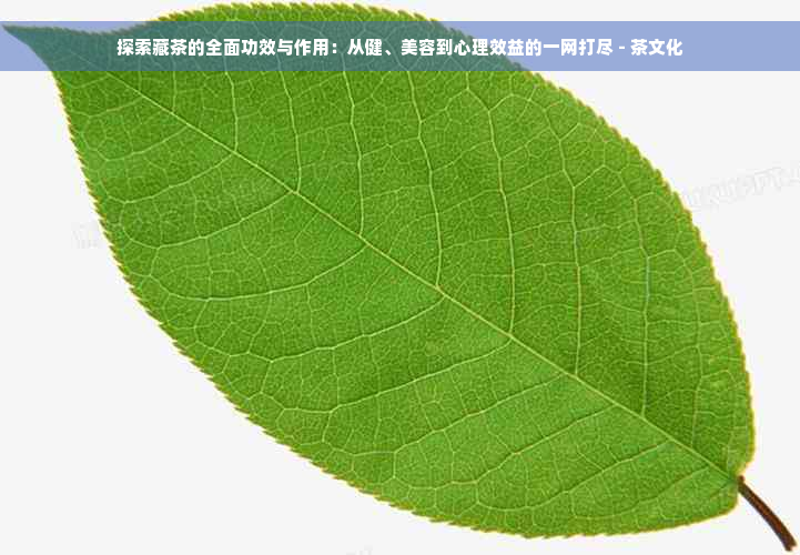 探索藏茶的全面功效与作用：从健、美容到心理效益的一网打尽 - 茶文化