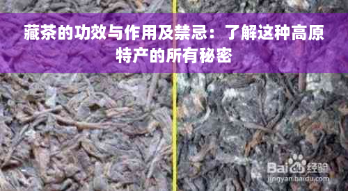 藏茶的功效与作用及禁忌：了解这种高原特产的所有秘密