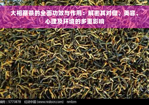 大相藏茶的全面功效与作用：解密其对健、美容、心理及环境的多重影响