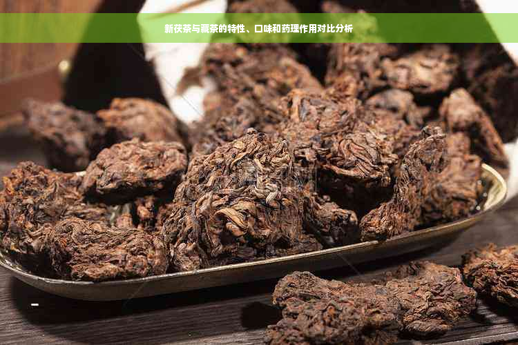 新茯茶与藏茶的特性、口味和药理作用对比分析