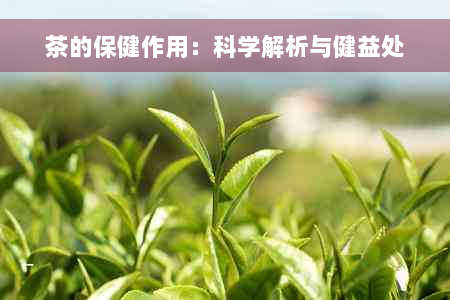 茶的保健作用：科学解析与健益处