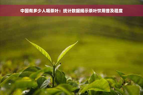 中国有多少人喝茶叶：统计数据揭示茶叶饮用普及程度