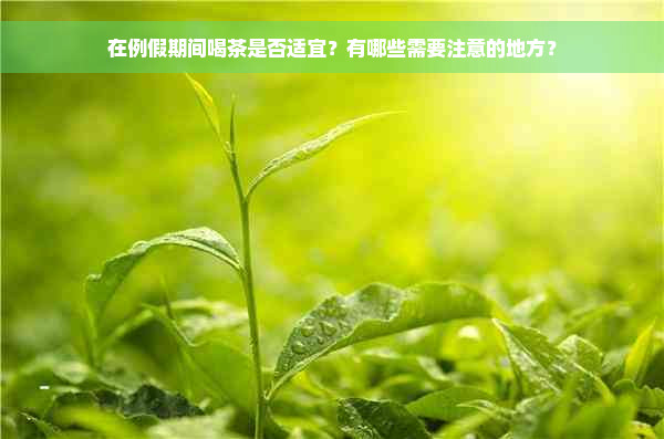 在例假期间喝茶是否适宜？有哪些需要注意的地方？