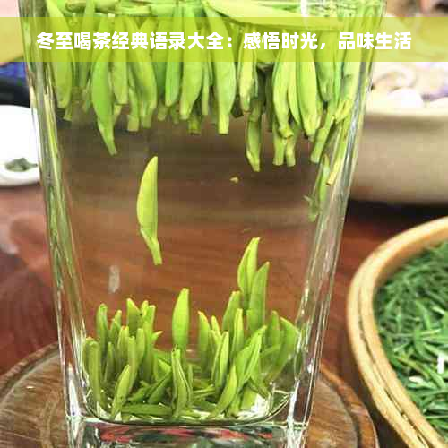 冬至喝茶经典语录大全：感悟时光，品味生活