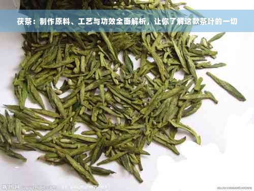 茯茶：制作原料、工艺与功效全面解析，让你了解这款茶叶的一切