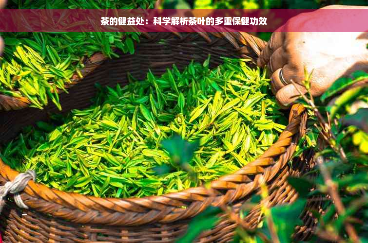 茶的健益处：科学解析茶叶的多重保健功效