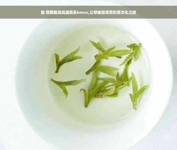 新 昆明精选高端茶品kmsn,让您体验尊贵的茶文化之旅