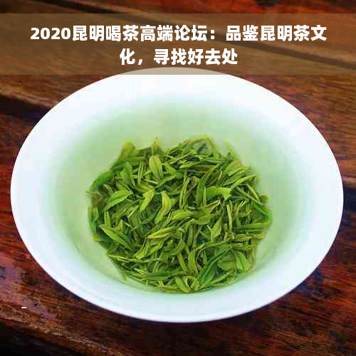 2020昆明喝茶高端论坛：品鉴昆明茶文化，寻找好去处