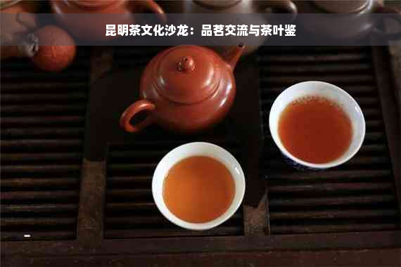 昆明茶文化沙龙：品茗交流与茶叶鉴