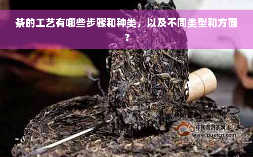 茶的工艺有哪些步骤和种类，以及不同类型和方面？