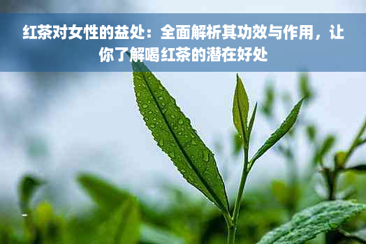 红茶对女性的益处：全面解析其功效与作用，让你了解喝红茶的潜在好处