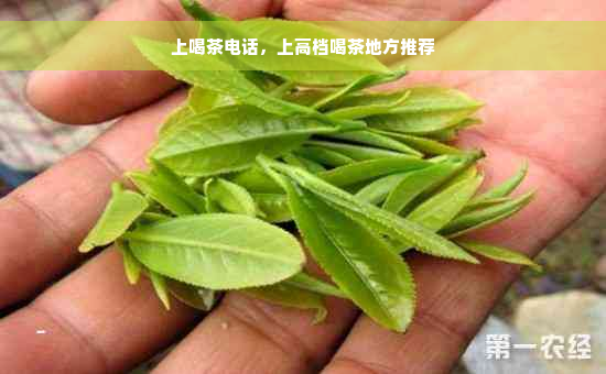 上喝茶电话，上高档喝茶地方推荐