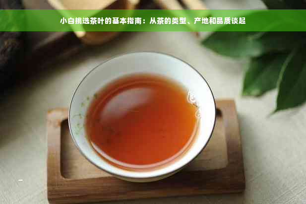 小白挑选茶叶的基本指南：从茶的类型、产地和品质谈起