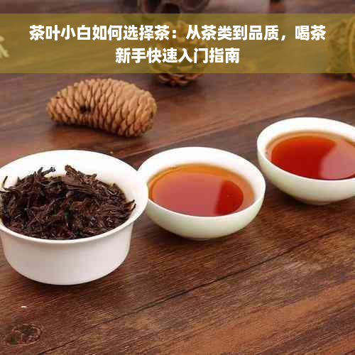 茶叶小白如何选择茶：从茶类到品质，喝茶新手快速入门指南