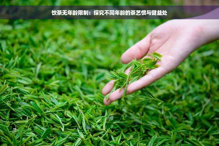 饮茶无年龄限制：探究不同年龄的茶艺惯与健益处