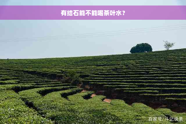 有结石能不能喝茶叶水？