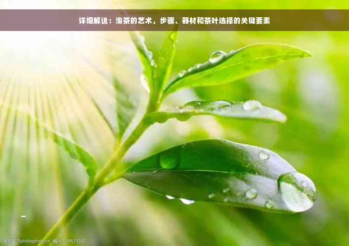 详细解说：泡茶的艺术，步骤、器材和茶叶选择的关键要素