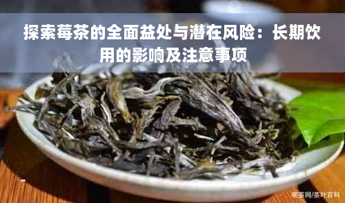 探索莓茶的全面益处与潜在风险：长期饮用的影响及注意事项