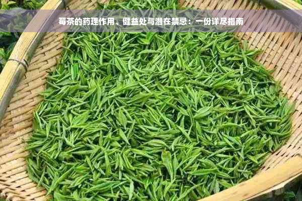 莓茶的药理作用、健益处与潜在禁忌：一份详尽指南