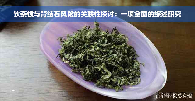 饮茶惯与肾结石风险的关联性探讨：一项全面的综述研究