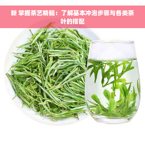 新 掌握茶艺精髓：了解基本冲泡步骤与各类茶叶的搭配