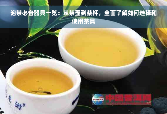 泡茶必备器具一览：从茶壶到茶杯，全面了解如何选择和使用茶具