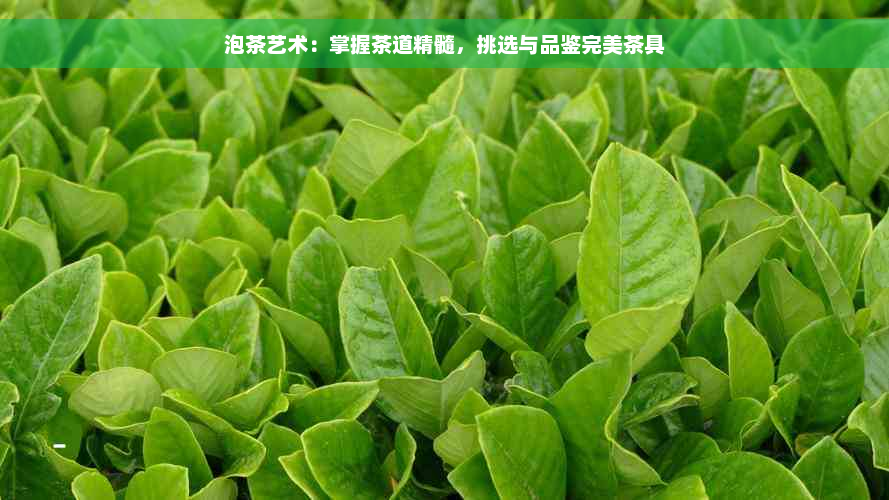 泡茶艺术：掌握茶道精髓，挑选与品鉴完美茶具