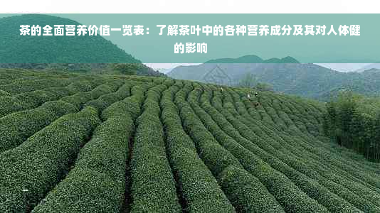 茶的全面营养价值一览表：了解茶叶中的各种营养成分及其对人体健的影响