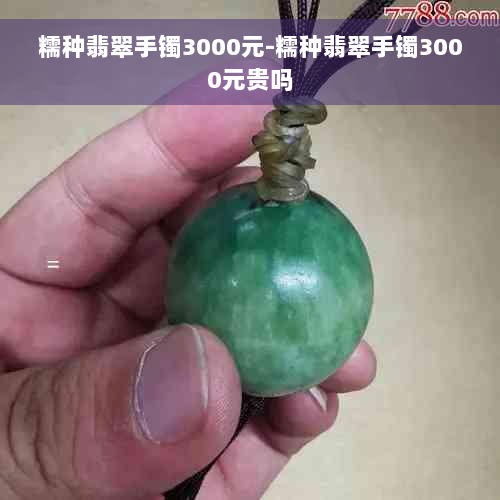 糯种翡翠手镯3000元-糯种翡翠手镯3000元贵吗