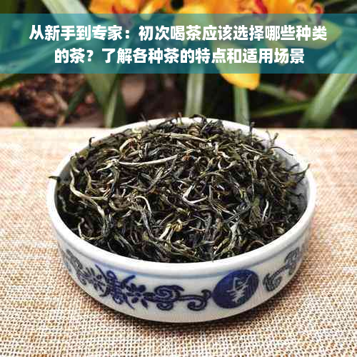 从新手到专家：初次喝茶应该选择哪些种类的茶？了解各种茶的特点和适用场景