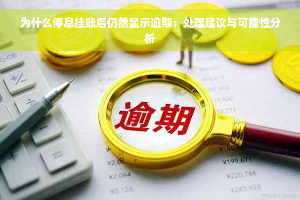 为什么停息挂账后仍然显示逾期：处理建议与可能性分析