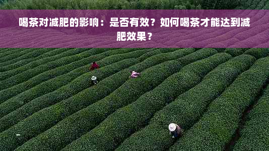 喝茶对减肥的影响：是否有效？如何喝茶才能达到减肥效果？