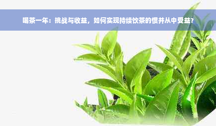 喝茶一年：挑战与收益，如何实现持续饮茶的惯并从中受益？