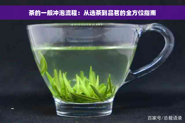 茶的一般冲泡流程：从选茶到品茗的全方位指南