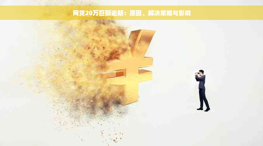 网贷20万巨额逾期：原因、解决策略与影响