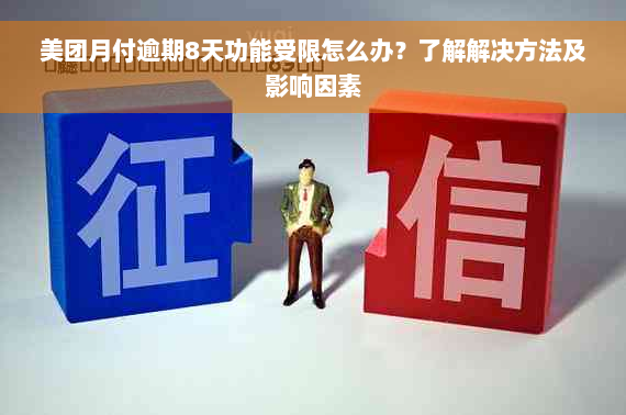 美团月付逾期8天功能受限怎么办？了解解决方法及影响因素