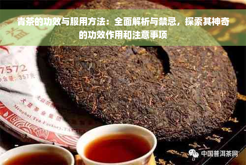 青茶的功效与服用方法：全面解析与禁忌，探索其神奇的功效作用和注意事项