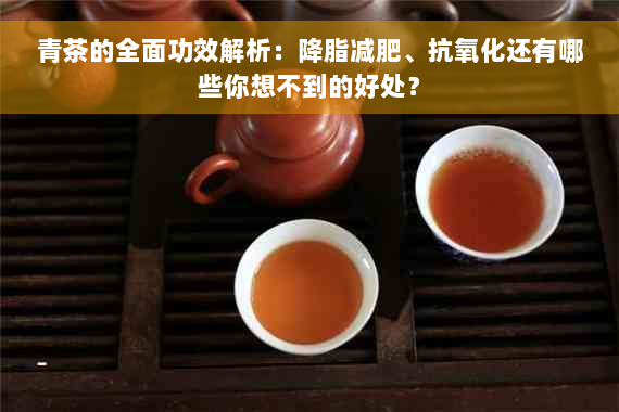 青茶的全面功效解析：降脂减肥、抗氧化还有哪些你想不到的好处？