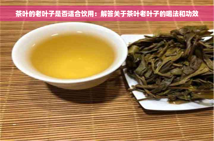 茶叶的老叶子是否适合饮用：解答关于茶叶老叶子的喝法和功效