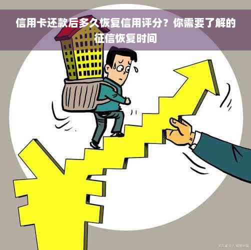 信用卡还款后多久恢复信用评分？你需要了解的征信恢复时间