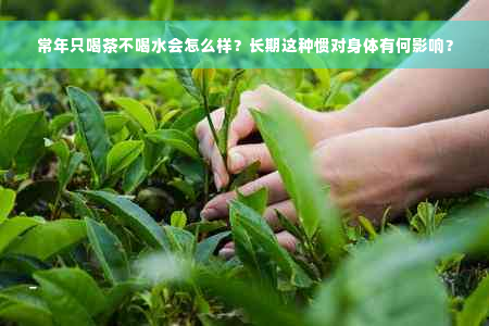 常年只喝茶不喝水会怎么样？长期这种惯对身体有何影响？