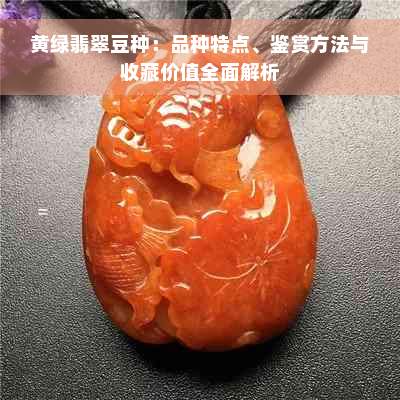 黄绿翡翠豆种：品种特点、鉴赏方法与收藏价值全面解析