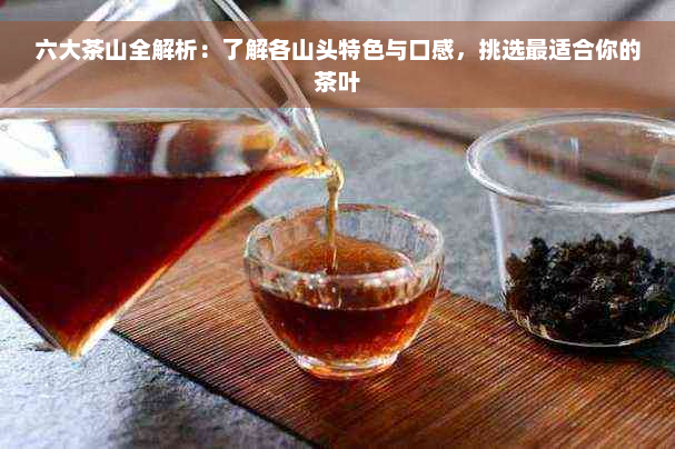 六大茶山全解析：了解各山头特色与口感，挑选最适合你的茶叶