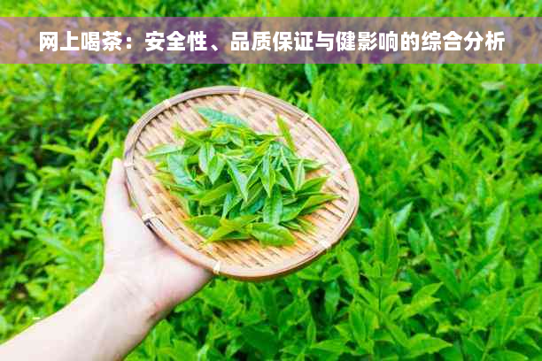 网上喝茶：安全性、品质保证与健影响的综合分析